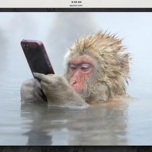 Meet your Posher, Annette